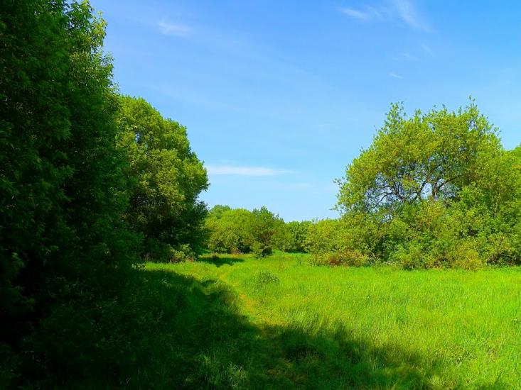 Юр'ївка з panoramio.com - Юрьевка