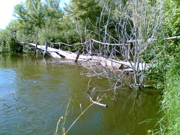Городище-Косівське з panoramio.com - Городище-Косівське