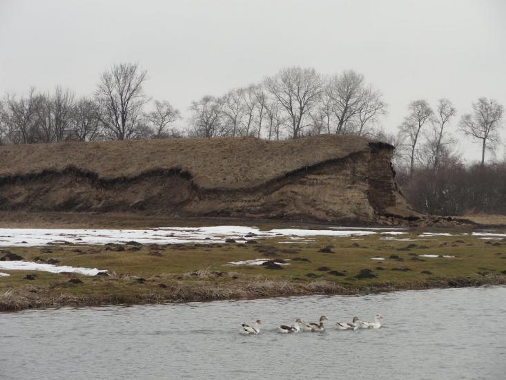 Іванів з panoramio.com - Ivaniv