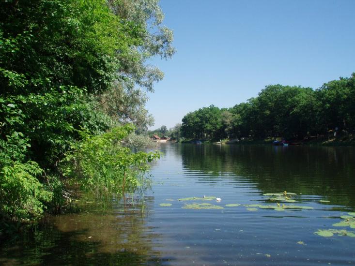 Коропове з panoramio.com - Koropove