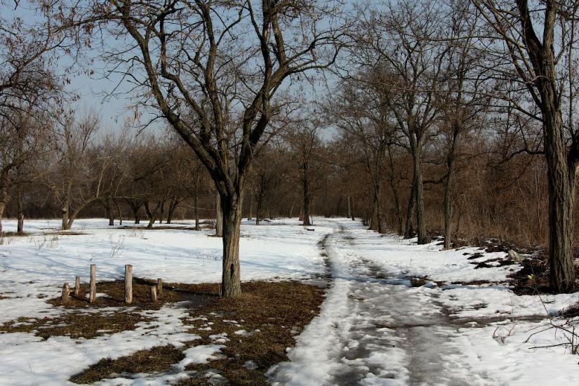 Лучки з panoramio.com - Лучки