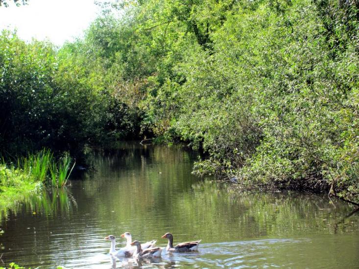 Старосілля з panoramio.com - Старосілля