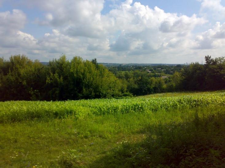 Андріївка з panoramio.com - Андреевка