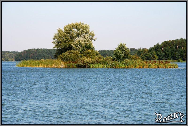 Тетерівка з panoramio.com - Тетерівка