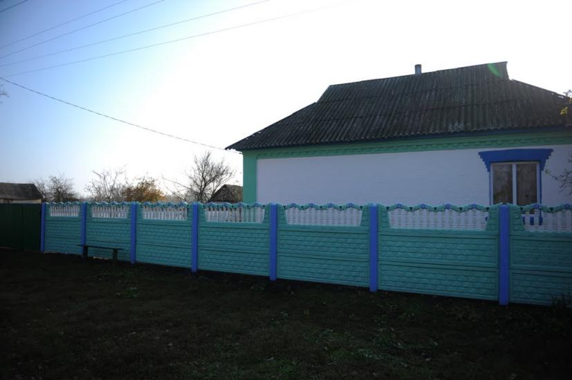 Нова Оржиця з panoramio.com - Новая Оржица