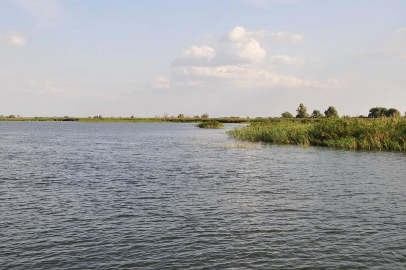 Кізомис з panoramio.com - Kizomys