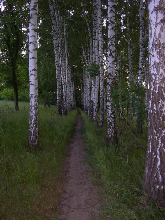 Люботин з panoramio.com - Люботин