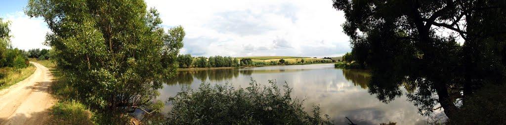 Андріївка з panoramio.com - Андреевка