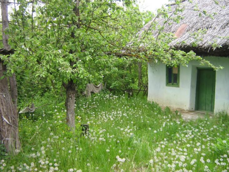 Дубове з panoramio.com - Дубовое
