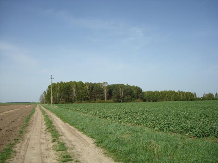 Вівчицьк з panoramio.com - Вовчицк