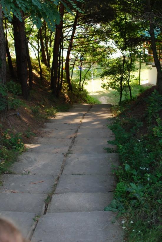 Степашки з panoramio.com - Степашки