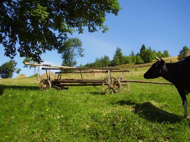 Погар з panoramio.com - Погар