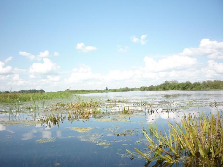 Угриничі з panoramio.com - Угриничі