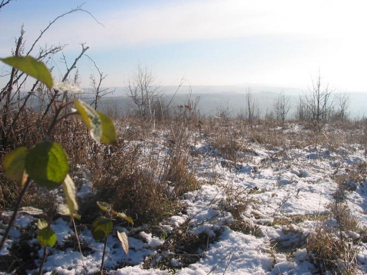 Лопушня з panoramio.com - Лопушня