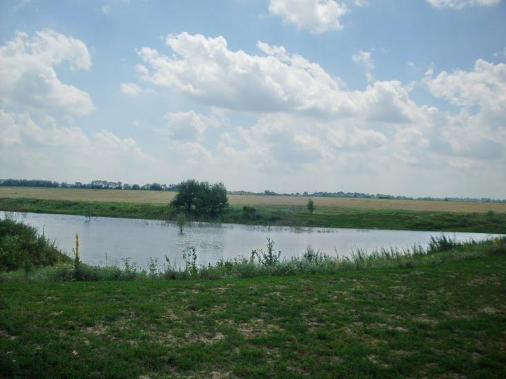 Кузьминці з panoramio.com - Кузьминцы