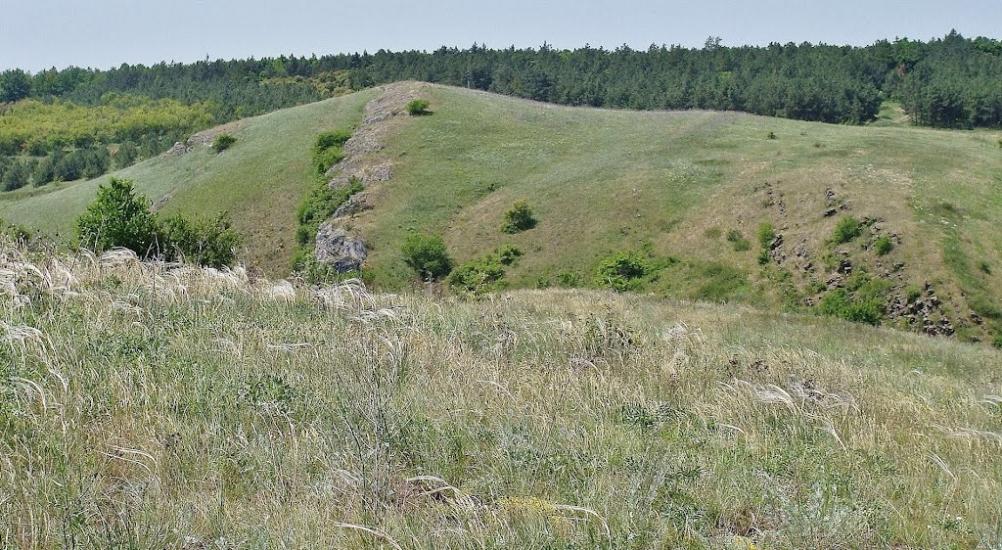 Русько-Орлівка з panoramio.com - Русско-Орловка