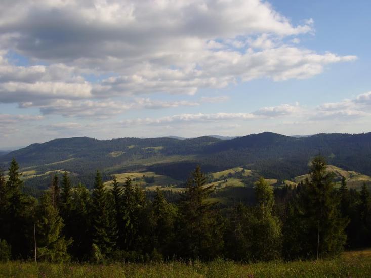 Орява з panoramio.com - Орява