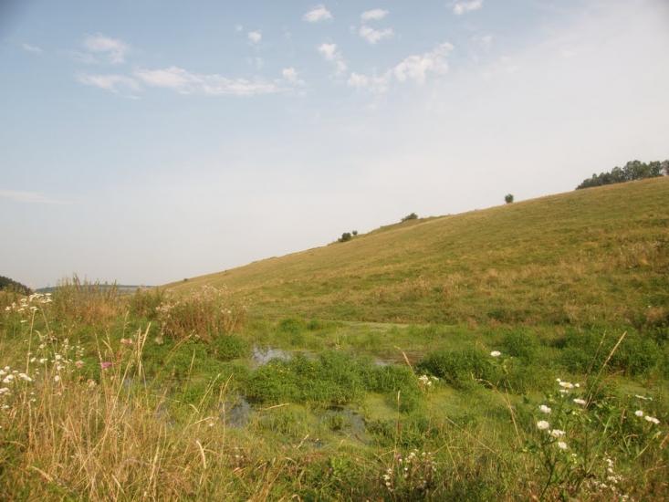 Монастириська з panoramio.com - Монастириська