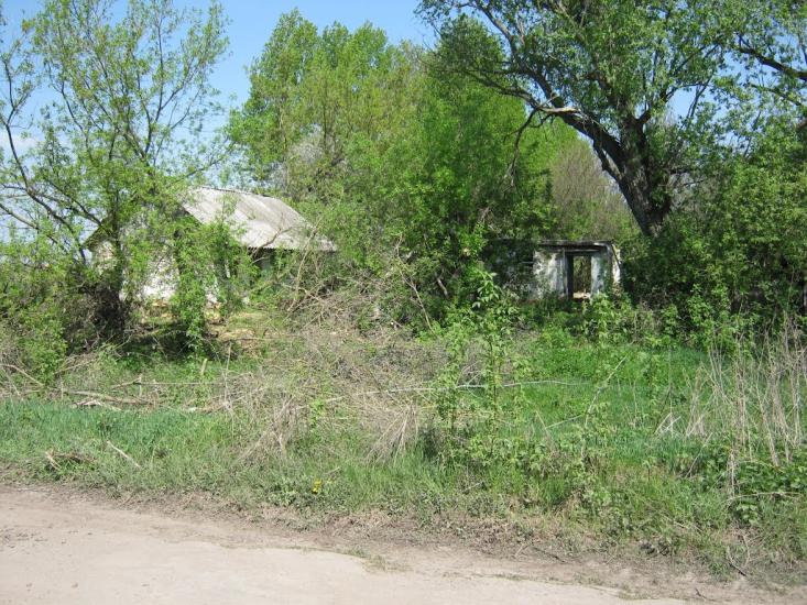 Коновалове з panoramio.com - Коновалово