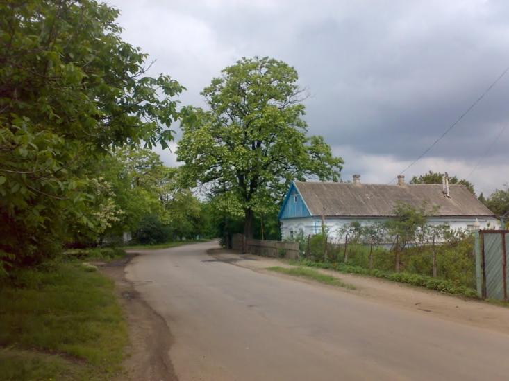 Осипенко з panoramio.com - Osypenko