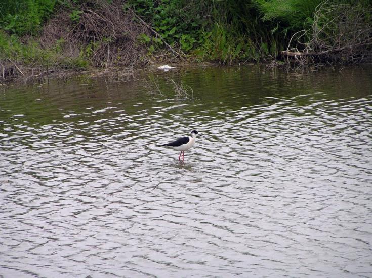 Молодіжне з panoramio.com - Молодіжне