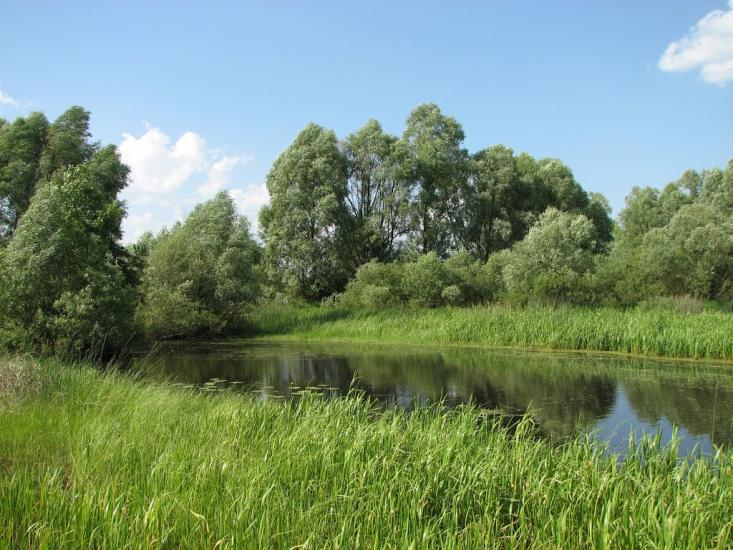 Горбове з panoramio.com - Горбовое