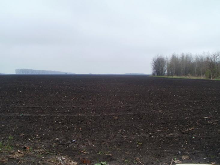 Оратів з panoramio.com - Оратів