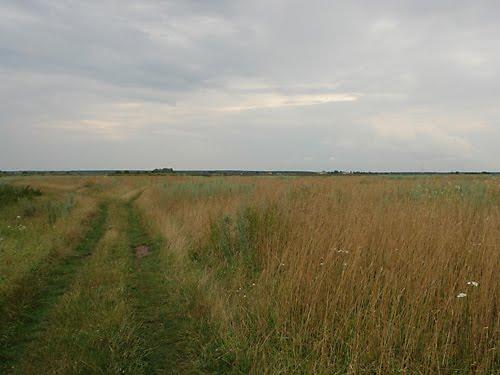 Волошинівка з panoramio.com - Волошинівка