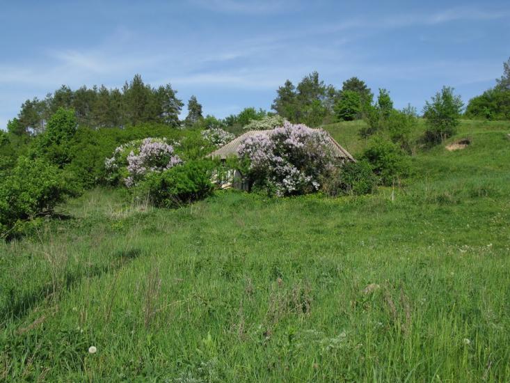 Грушківка з panoramio.com - Грушковка