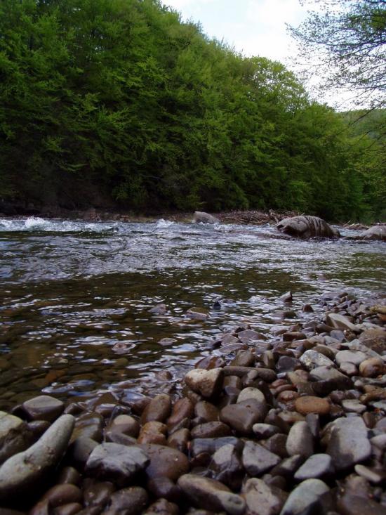 Забрідь з panoramio.com - Zabrid