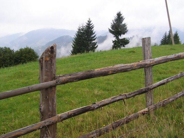 Стригальня з panoramio.com - Strygalnya