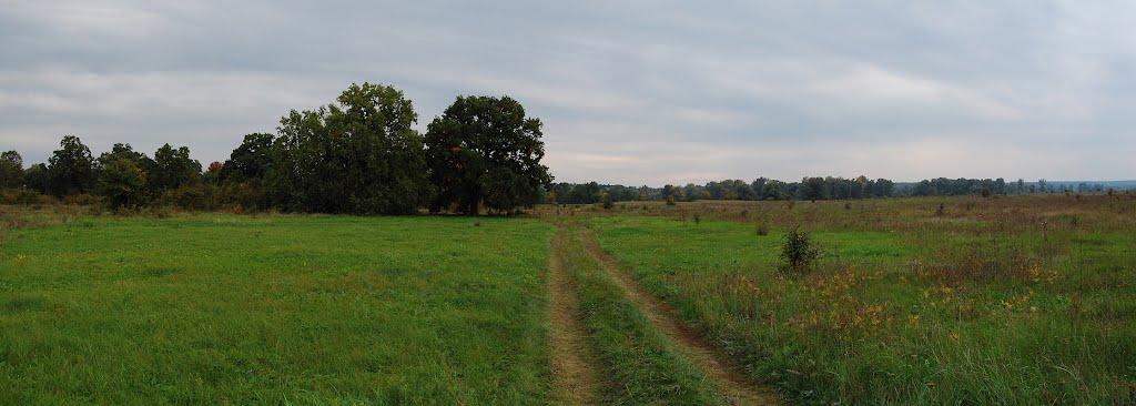 Левківка з panoramio.com - Левковка