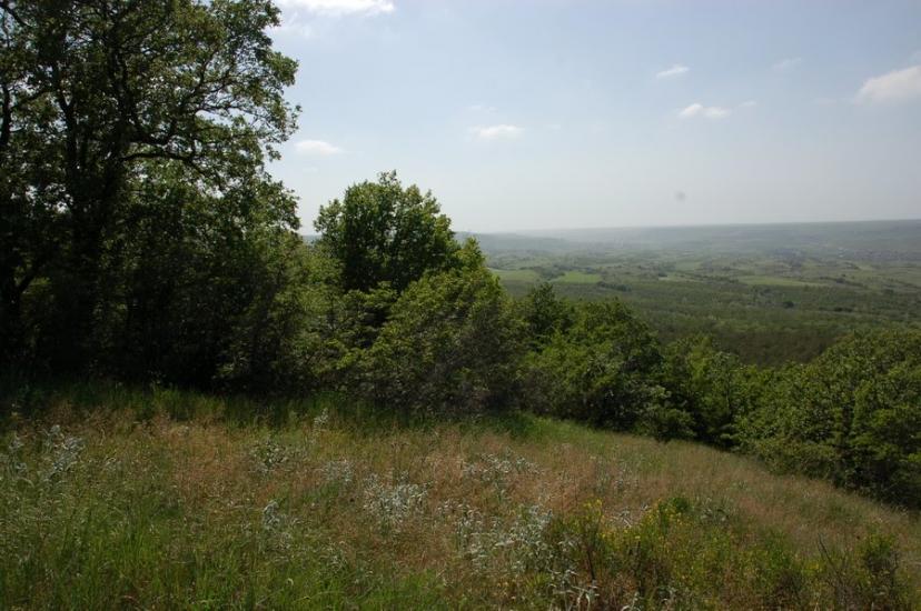 Долинне з panoramio.com - Долинне