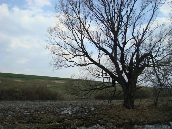 Бондарівщина з panoramio.com - Бондарівщина