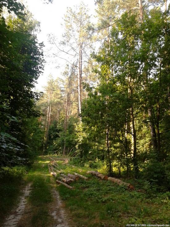 Черняхівка з panoramio.com - Черняхівка