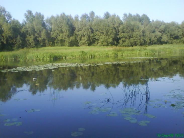 Осещина з panoramio.com - Осещина
