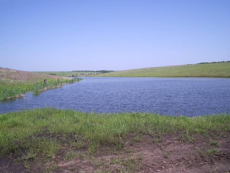 Бондарівщина з panoramio.com - Бондарівщина