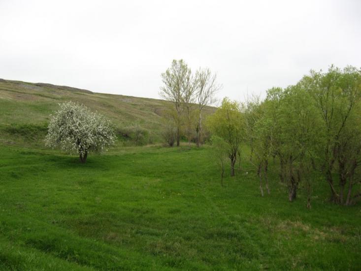 Денисівка з panoramio.com - Денисівка