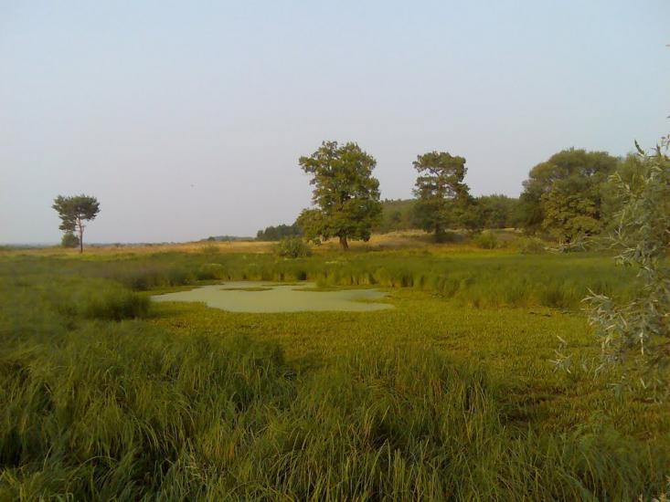 Гірки з panoramio.com - Girky