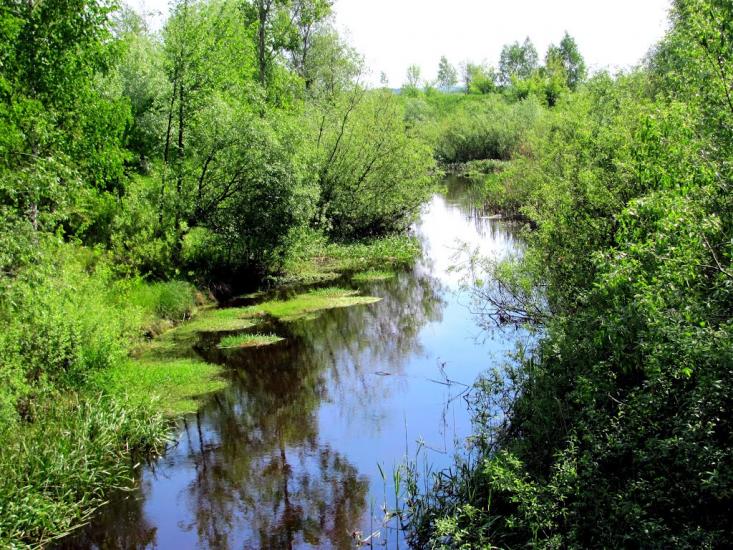 Сарни з panoramio.com - Сарни