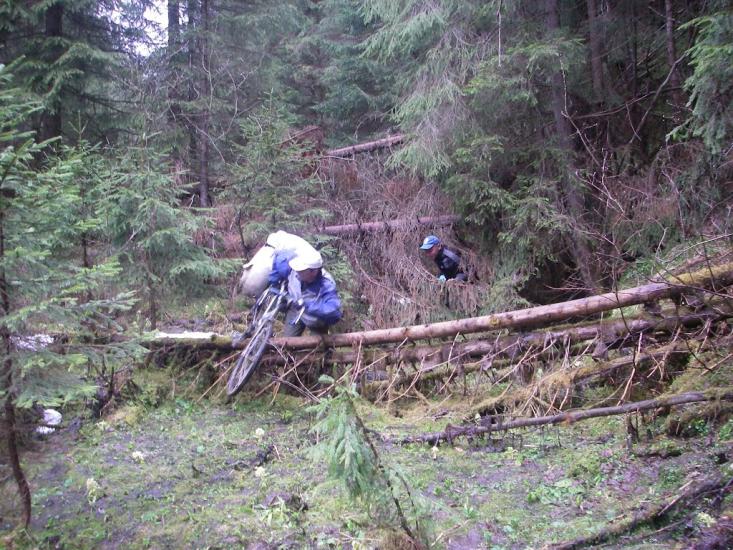 Пробійнівка з panoramio.com - Пробійнівка