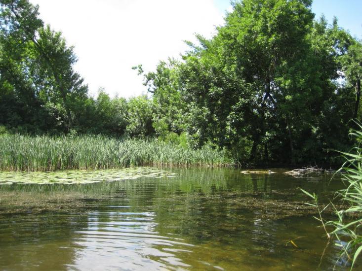Кринки з panoramio.com - Кринки