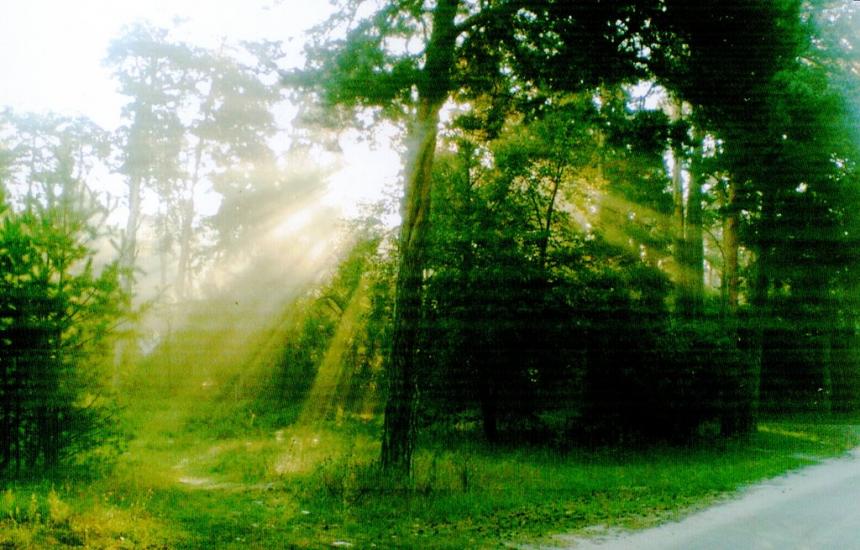 Горбове з panoramio.com - Горбове