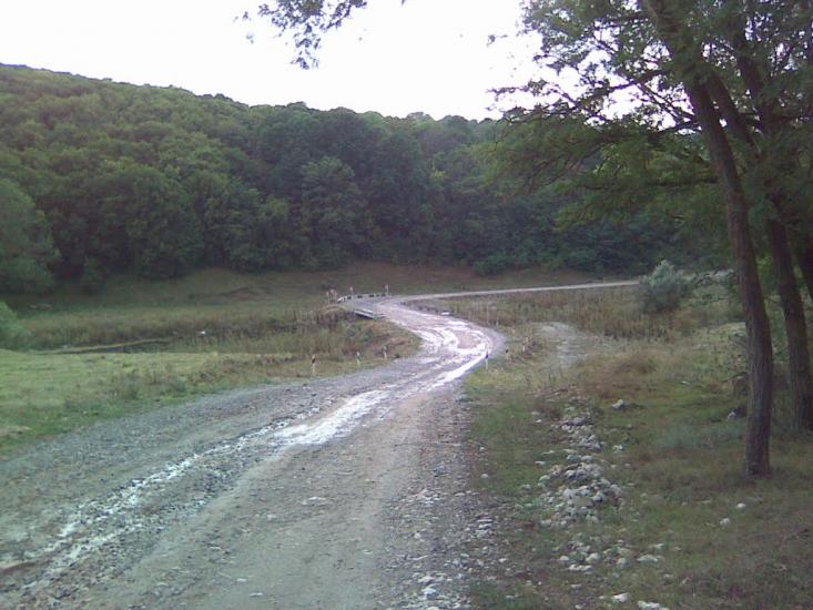 Грушка з panoramio.com - Грушка