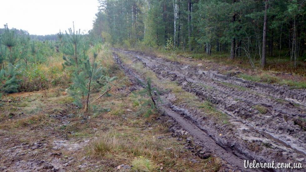 Піщаниця з panoramio.com - Піщаниця