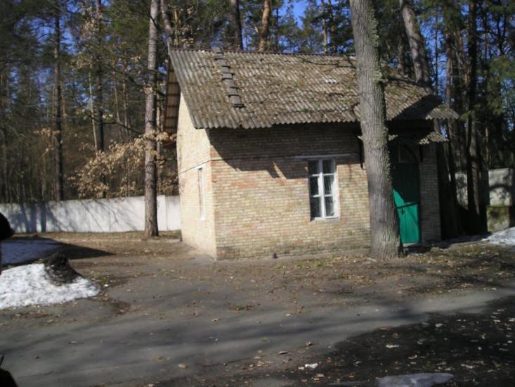 Проліски з panoramio.com - Пролески