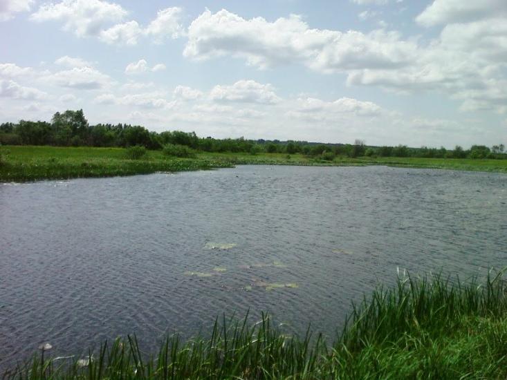 Коленці з panoramio.com - Коленці