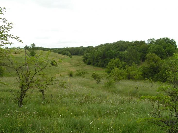 Харківці з panoramio.com - Харківці