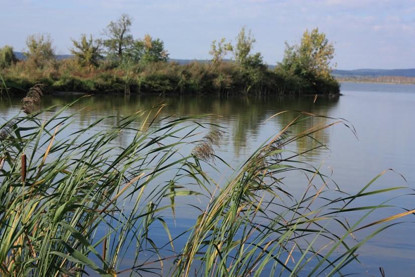Івано-Франкове з panoramio.com - Ивано-Франково