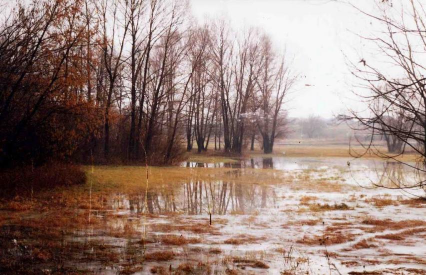 Новокраснянка з panoramio.com - Novokrasnyanka